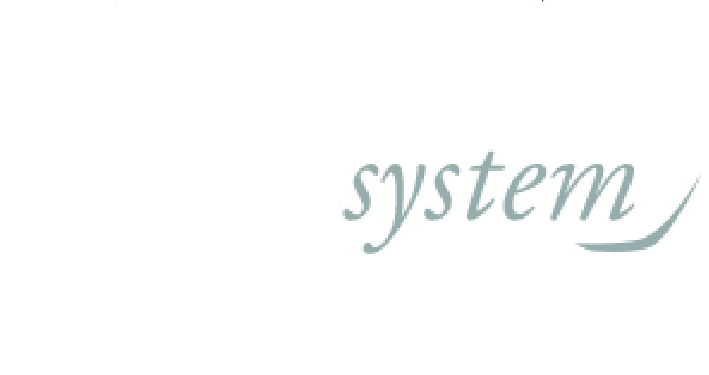 Metalsystem logo Metalsystem logo