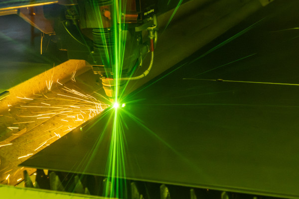 Salvagnini case study Lasergate Salvagnini case study Lasergate